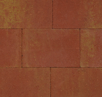 Kijlstra | Straksteen 20 X 30 X 5 | Terracotta/ Geel