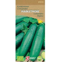 Komkommer Marketmorebio