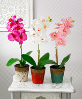 Kunstplant Phalaenopsis Set Gemengde Kleuren
