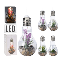 Lamp Met Plant En Licht Hangend