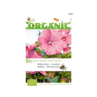 Buzzy® Organic Lavatera Trimestris Rood (bio)
