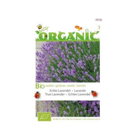 Buzzy® Organic Lavendel (bio)