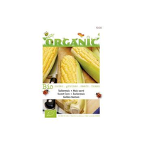 Buzzy® Organic Mais Golden Bantam (bio)