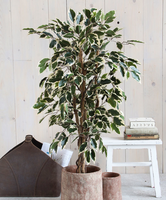 Mica® Kunstplant Ficus