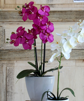 Mica® Kunstplant Orchidee Paars