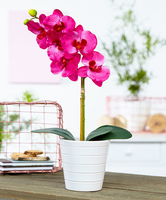 Mica® Kunstplant Orchidee Roze