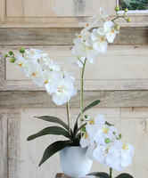 Mica® Kunstplant Orchidee Wit