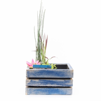 Moerings Waterplanten Mini Vijver In Houten Kistje Blauw