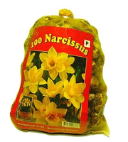 Narcissen Botanisch (voordeelpakket)