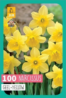 Narcissus Geeltrompetnarcis
