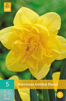 Narcissus Golden Ducatdubbelbloemige Narcis