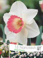 Narcissus Pink Charm