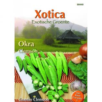 Okra Exoot Hibiscus Esculentus