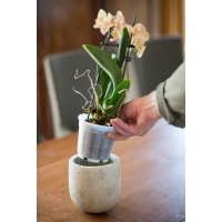Orchidee Pot Transparant Ø12cm 18 Stuks