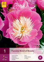 Paeonia Bowl Of Beauty