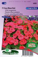 Petunia F1 Easy Wave Red