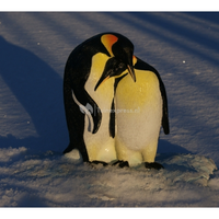 Pinguinstel Dierfiguur