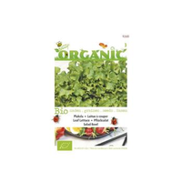 Buzzy® Organic Pluksla Groen Salad Bowl (bio)