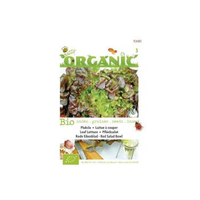 Buzzy® Organic Pluksla Rood Salad Bowl (bio)