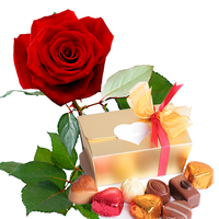 Rode Roos Met Valentijn Chocolade