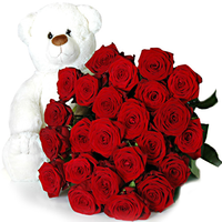 Romantisch Cadeau Met Lange Rode Rozen En Een Knuffelbeer