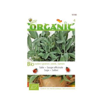 Buzzy® Organic Salie (bio)