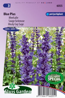 Salvia Farinacea   Blue Plus Zaad Bloemzaden