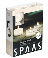 Spaas® Clearlight Sensual Blush