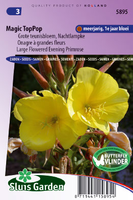Teunisbloem Magic Toppop (oenothera)