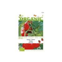 Tomaten Ace 55vf Bio