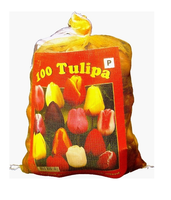 Triumph Tulpen Mix (voordeelpakket)