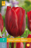 Tulipa Couleur Cardinalenkelvroege Tulp