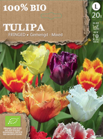 Tulp Crispa Gemengd Biologisch