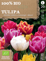Tulp Dubbel Gemengd