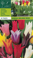 Tulp Leliebloemig Mix