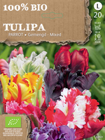 Tulp Parkiet Gemengd Biologisch