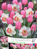 Tulp Roze & Narcis Pink Charm