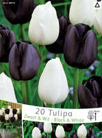 Tulpen Mix Zwart En Wit