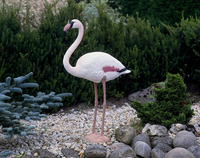Decoratief Dierfiguur Flamingo