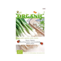 Buzzy® Organic Uien White Lisbon (bio)