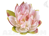 Velda Floating Lotus Pink 17 Cm