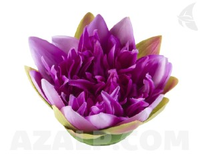 Velda Floating Lotus Purple 17 Cm