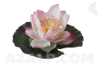 Velda Lotus On Leaf Pink 15 Cm