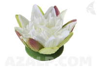 Velda Lotus White 13 Cm