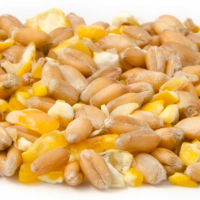 Mixed Corn (10kg)