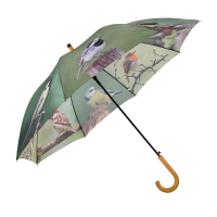 Paraplu Met Tuinvogels