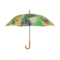 Paraplu Vlinder