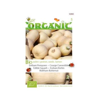 Buzzy® Organic Wintersquash Waltham Butternut (bio)