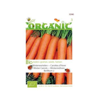 Buzzy® Organic Winterwortelen Berlik 2 (bio)
