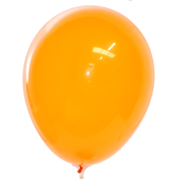 Zakje Extra Ballonnen Om Met Lucht Te Vullen 30 Of 50 Oranje Ballonnen